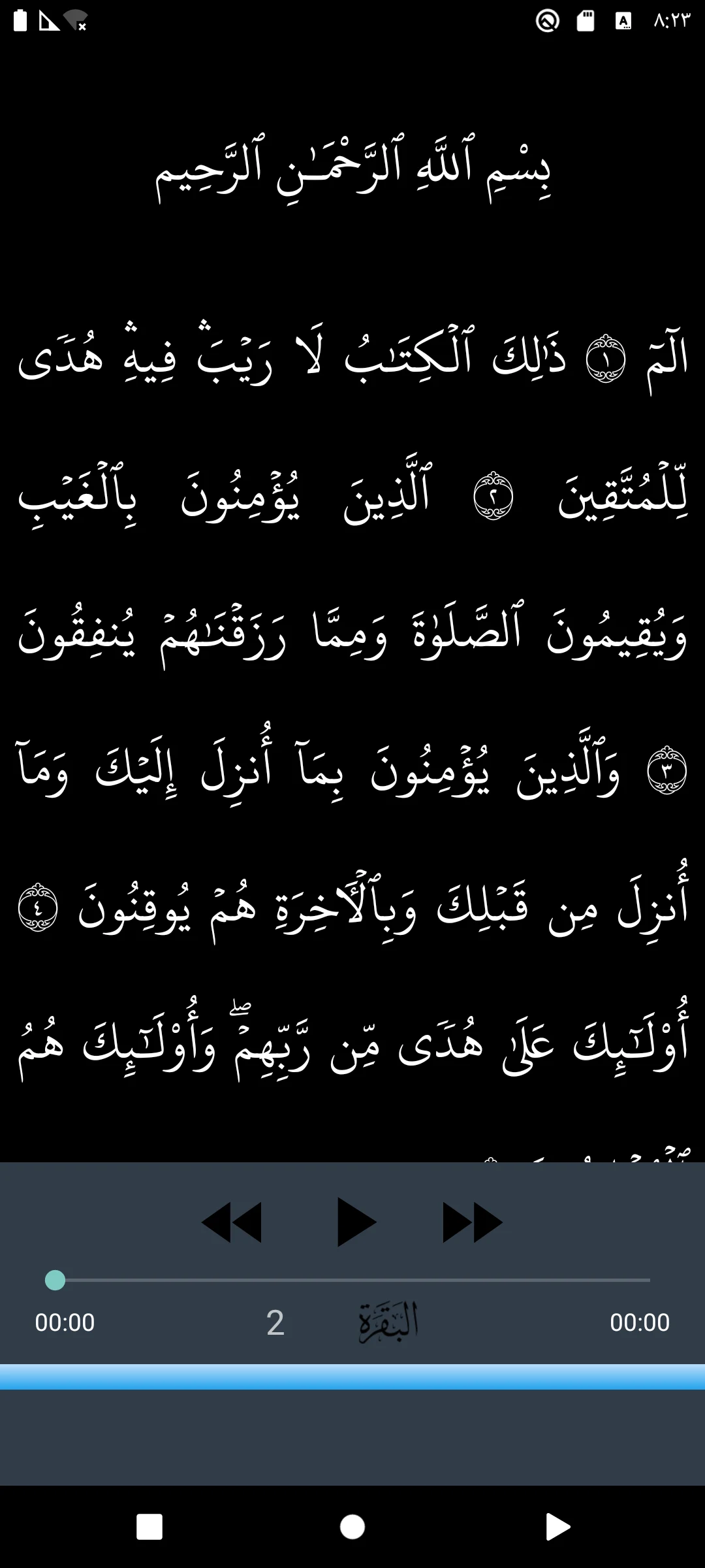 Ali Jaber Quran quality sound screenshot